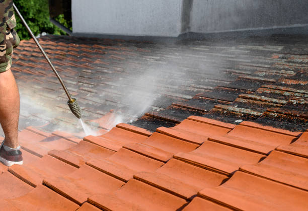 Best Residential Pressure Washing Services  in Williston, FL
