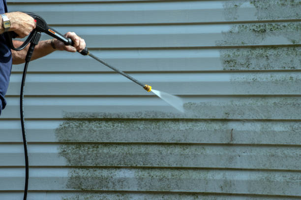 Best Residential Pressure Washing Services  in Williston, FL